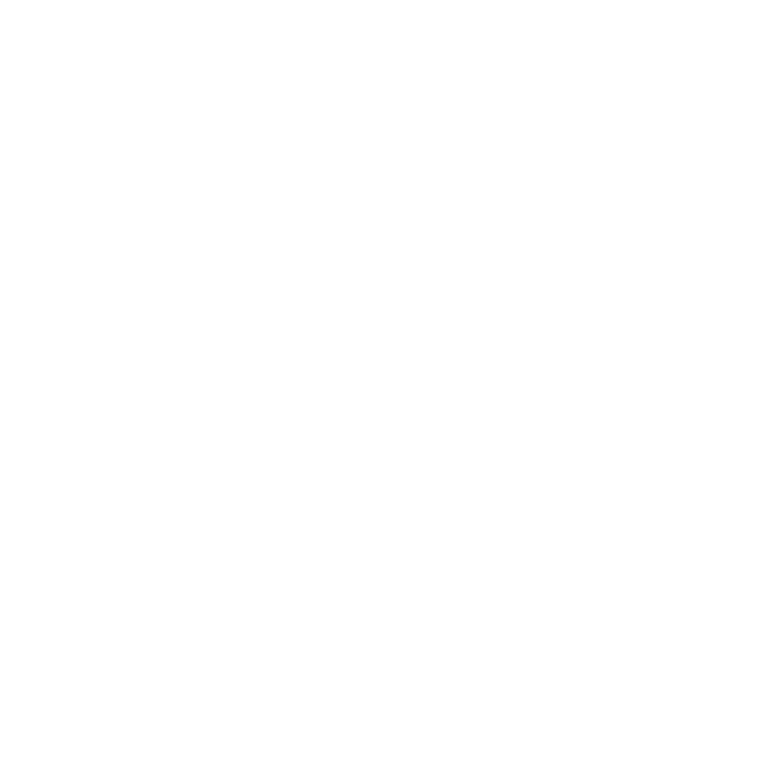 Moet Hennessey